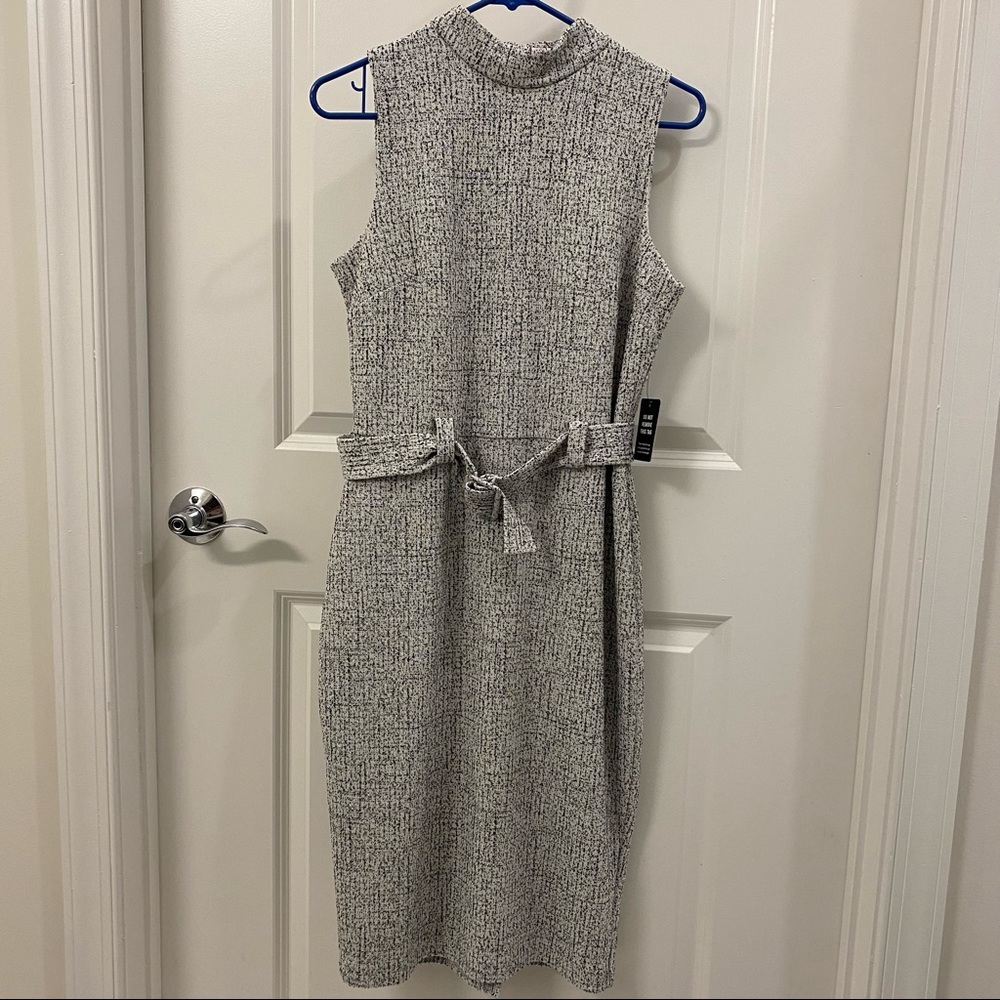 Express Sheath Dress